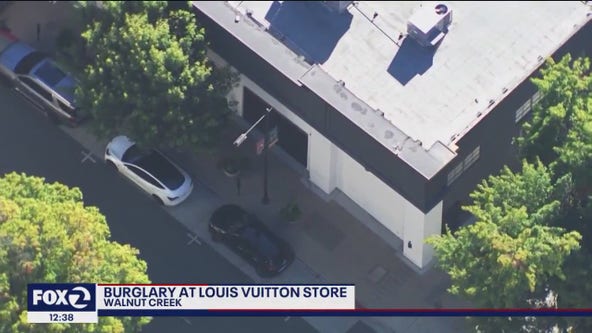 Allegedly stolen car smashes into Louis Vuitton store