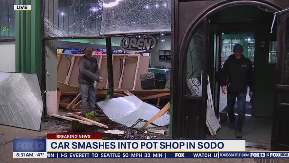 Car smashes into SODO pot shop