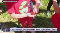 Chesterbrook Academy Preschool releases ladybugs on Earth Day