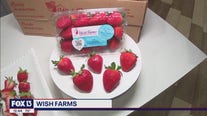 Cool weather and Florida sunshine bring sweeter strawberries