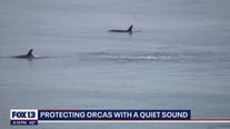 Program hoping to slow down shipping traffic in Puget Sound to help orca population