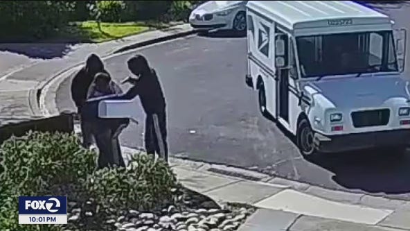 Armed robbery of US postal carrier caught on camera,, victim says she thought she was going to die