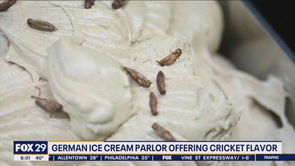 Cricket flavored ice cream, anyone?