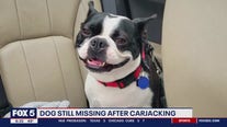Police on the lookout for dog left in stolen car