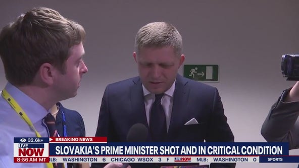 Slovakia's PM critically wounded in shooting