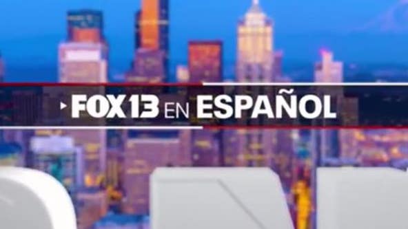 Introducing FOX 13 en Español (Presentando FOX 13 en Español)