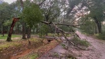 Houston storm damage: Video shows fallen tree in Houston neighborhood