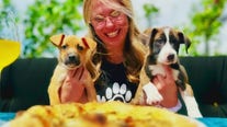 Phoenix business fuses puppy rescue with pizza joint
