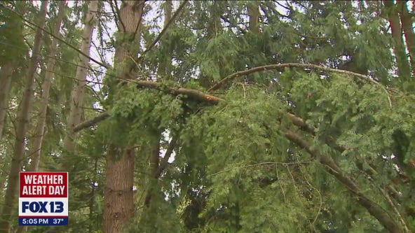 Most homeowners have power back in Edmonds