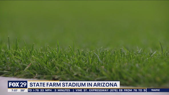 Footbll field is ready for Super Bowl Sunday at the State Farm Stadium in Arizona