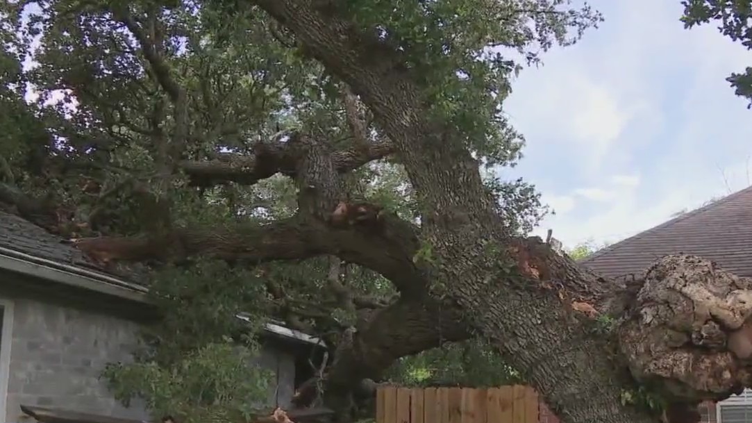 Downed tree damages roof in southwest Austin
