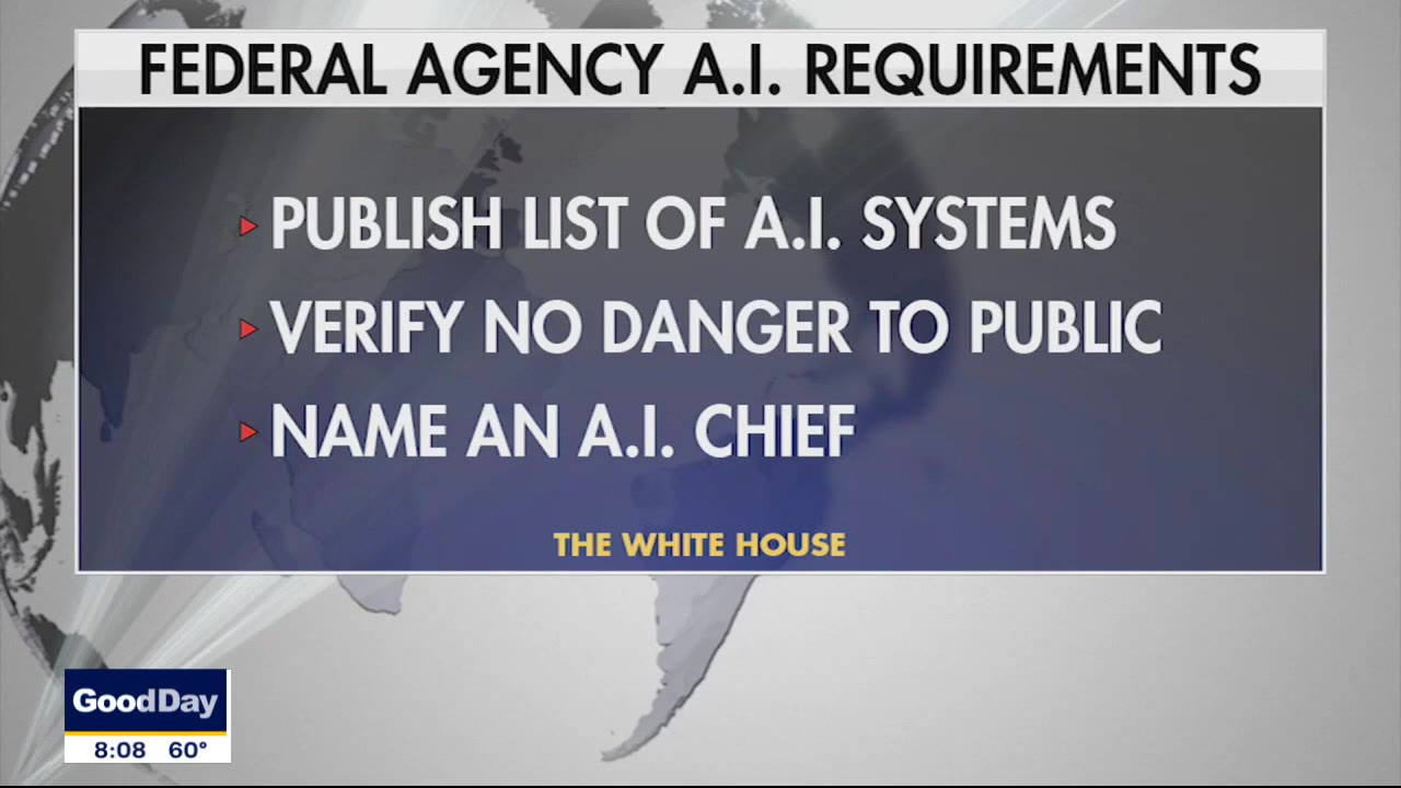 White House releases A.I. rules for government agencies