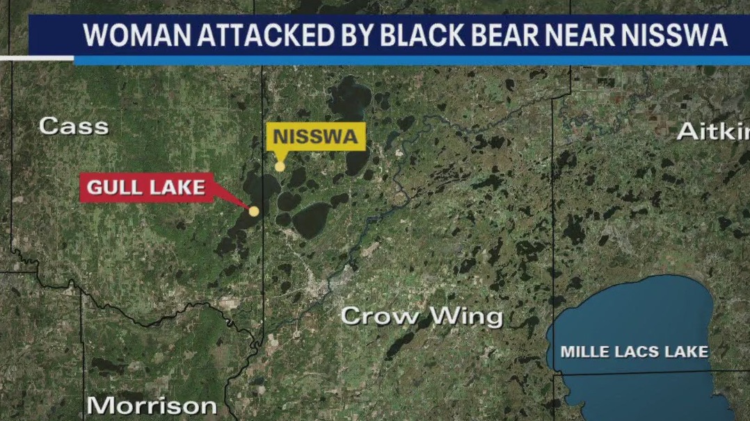 Woman attacked by black bear in Central MN
