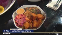 Hot Honey Chicken