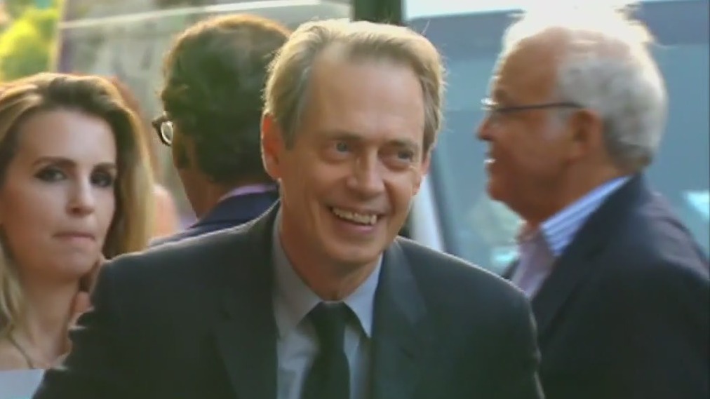 Steve Buscemi punched in face in NYC