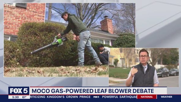 Bill to ban gas-powered leaf blowers tabled in Montgomery County