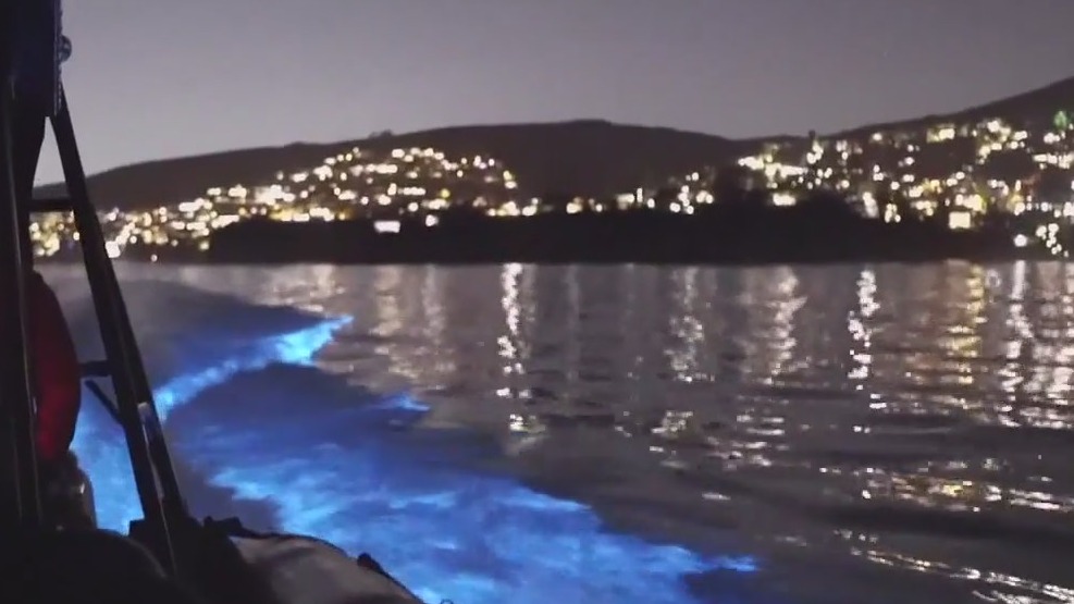 SoCal aquarium event spotlights glowing water