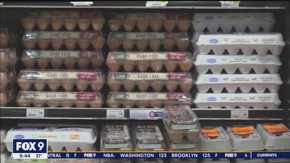 Egg prices too high? Here are some alternatives