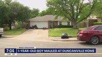 1-year-old boy killed in Duncanville dog attack
