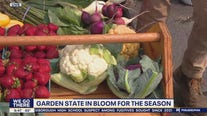 Garden State in bloom for the season