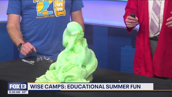 WISE Camps: Educational summer fun