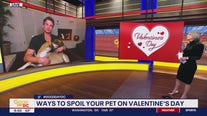 How to spoil your dog this Valentine's Day