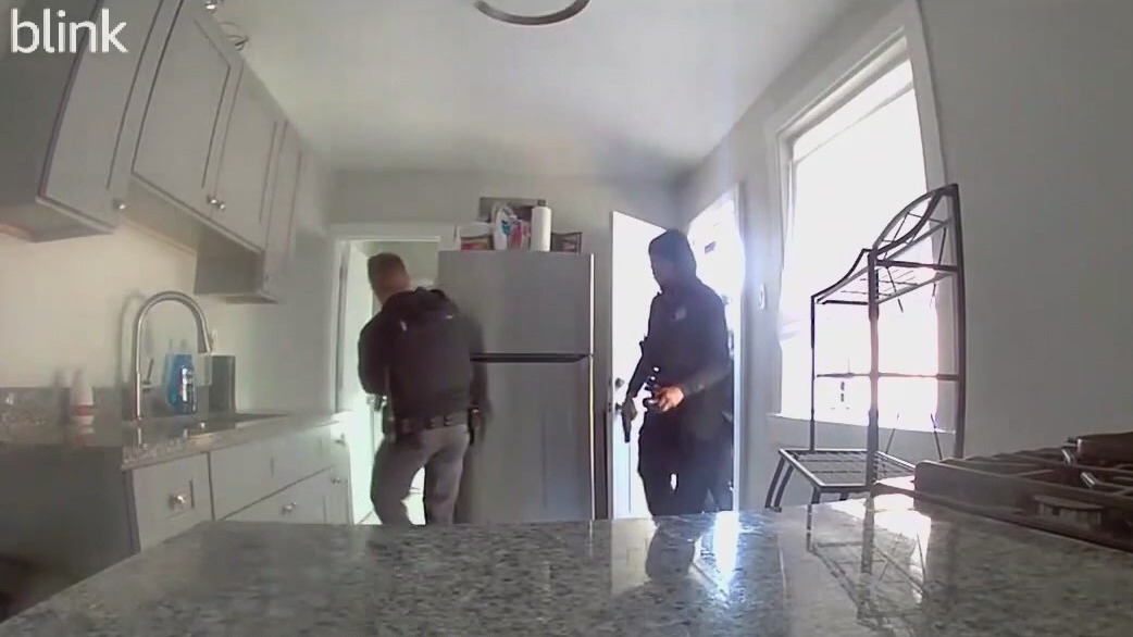 Surveillance video shows Illinois police officers searching the wrong home