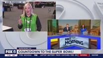 Countdown to the Super Bowl!
