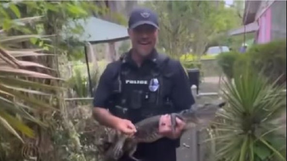 Alligator removed from 104-year-old woman's home