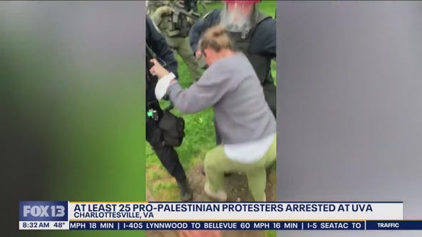 Pro-Palestine protestors clash with police at UVA, Michigan