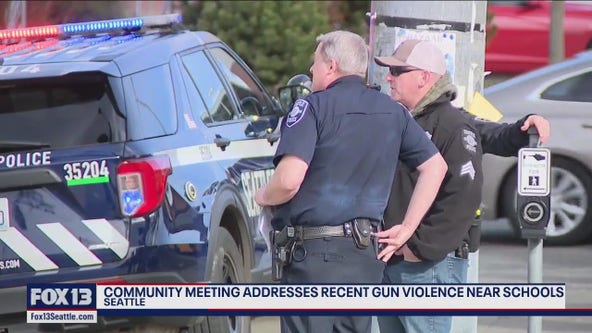 Gun violence addressed in community meeting