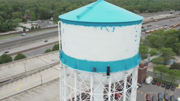 What's next for the Detroit Zoo Water Tower?