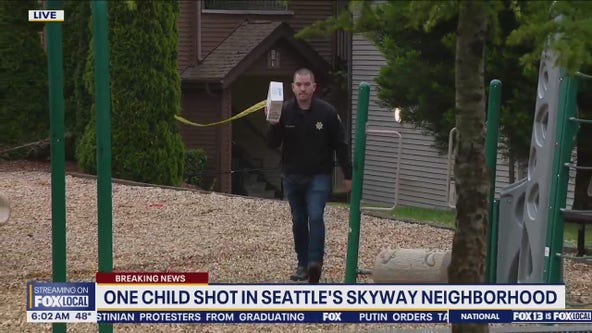 Child hit by stray bullet in Seattle's Skyway neighborhood