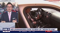 Maryland lawmakers look to beef up "Noah's Law"