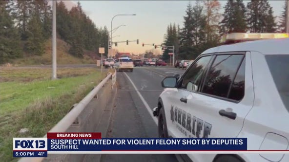 Suspect wanted for violent felony shot, killed by deputies