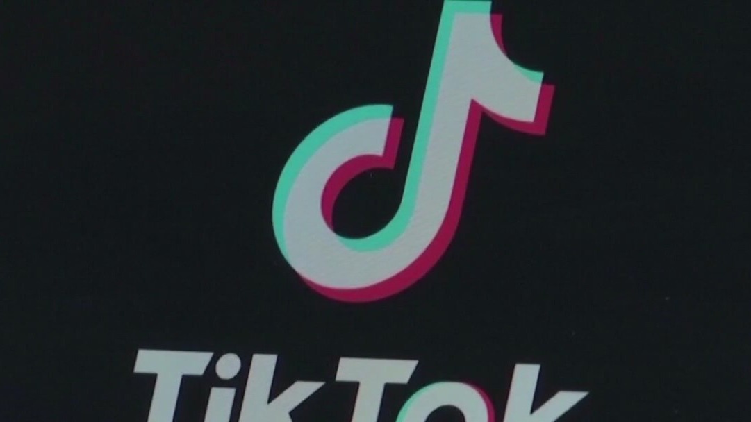 TikTok has nine months to sell or face ban