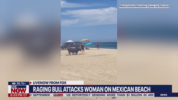 Wild bull attacks woman on Mexican beach