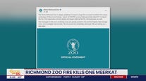 Meerkat killed in fire at Metro Richmond Zoo