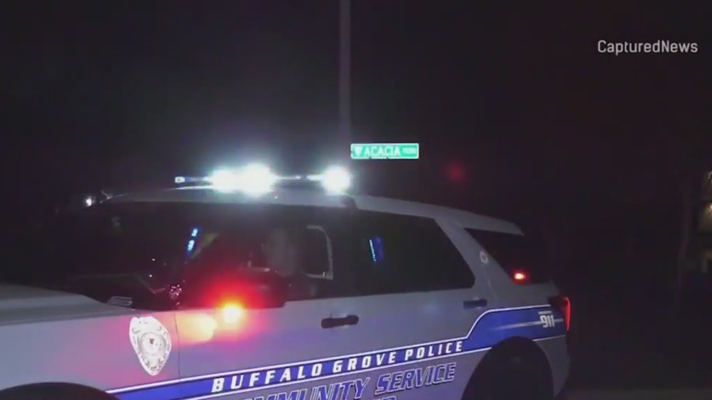 2 children, 3 adults found dead inside Buffalo Grove home