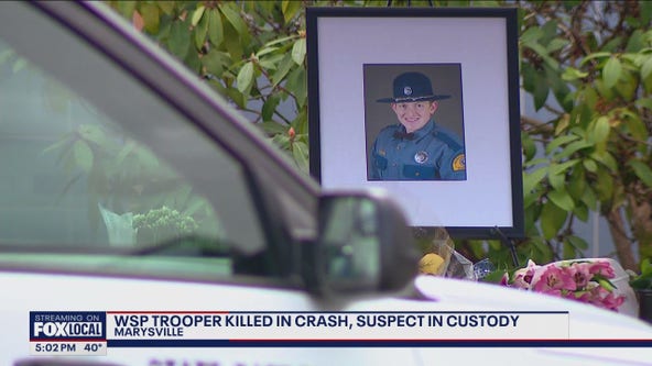 WSP trooper killed in crash, suspect in custody
