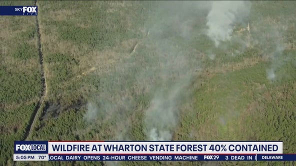 Wildfire burning in Burlington, Camden counties