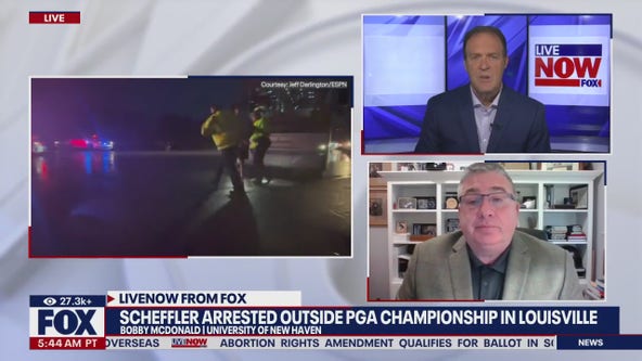 Analysis of Scheffler arrest at PGA event
