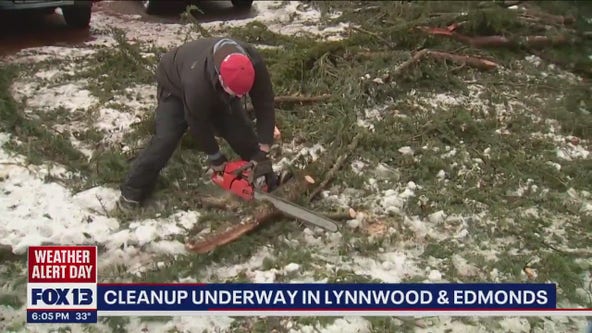 Crews cleaning up after wind storm in Lynnwood and Edmonds