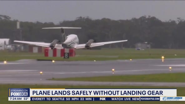 WATCH: Plane lands safely without landing gear