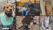 Talkers: National Love Your Pets Day