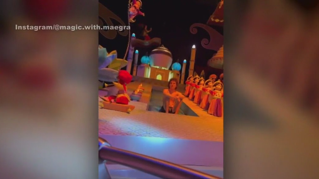 Alleged Disneyland streaker shocks families