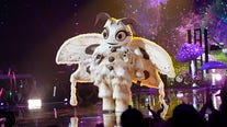 Poodle Moth revealed on 'The Masked Singer'