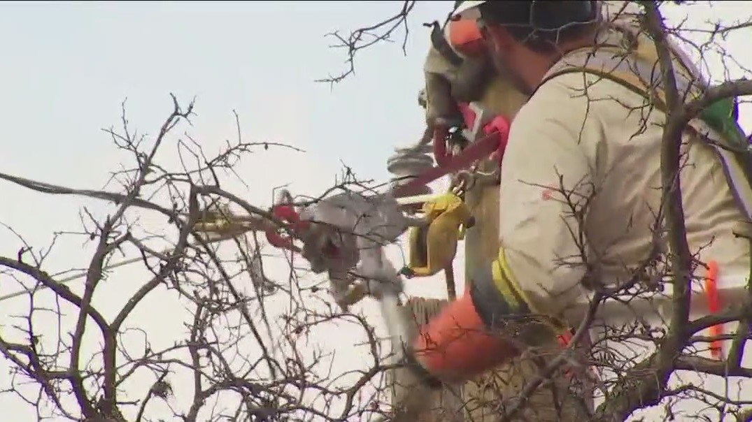 Texas ice storm: Oncor brings in crews from out of town to help restore power in WilCo