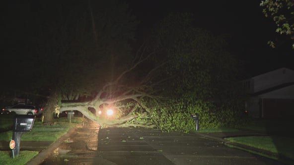 Metro Detroit hit by powerful storms