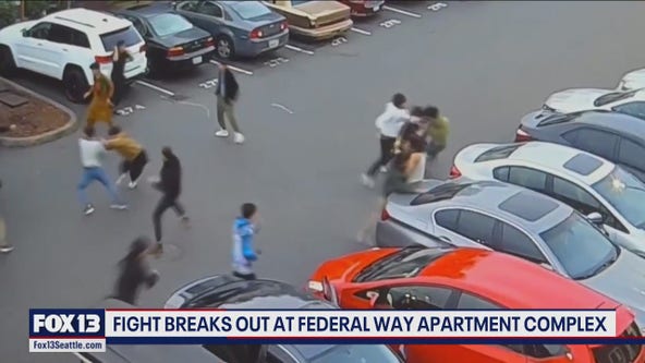 Massive brawl at Federal Way apartment complex